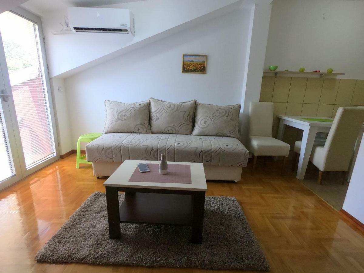 Apartman Zenit Vrnjacka Banja Ngoại thất bức ảnh