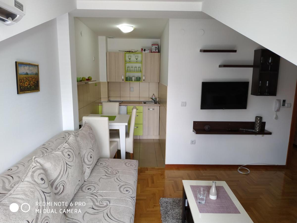 Apartman Zenit Vrnjacka Banja Ngoại thất bức ảnh